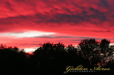 "Last Sunset of Summer"