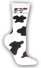 Cow Spots PH32