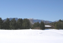 lerner view