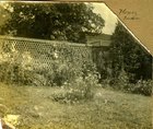Flower Garden