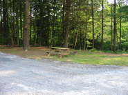 Site 12