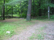 Site 31