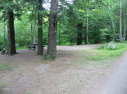 Site 37