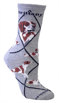 Brittany Spaniel Gray PH373