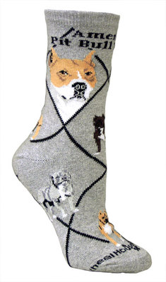 American Pit Bull Terrier PH664