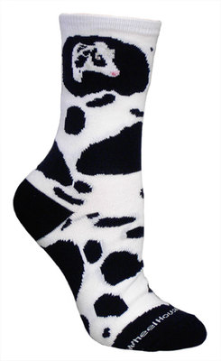Holstein PH626