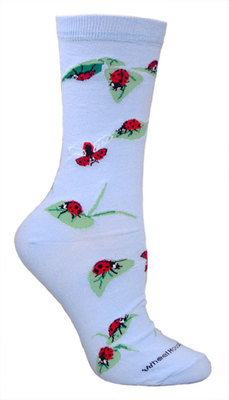 Ladybugs on light blue LW355