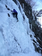 Sam Wood going straight up