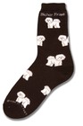 Bichon Frise Poses Sock