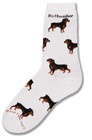 Rottweiler Poses Sock