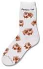Pomeranian Poses Sock