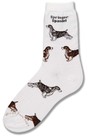 Springer Spaniel Poses Sock