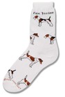 Fox Terrier Poses Sock