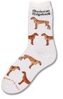 Rhodesian Ridgeback Poses Sock