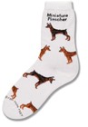 Miniature Pinscher Poses Sock