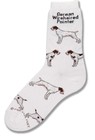 German Wire Haired Pointer Poses Sock