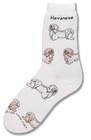 Havanese Poses Sock