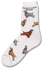 English Cocker Spaniel Poses Sock