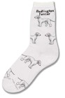 Bedlington Terrier Poses Sock