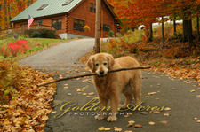 "Walk softly......."