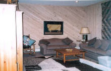 Houston Farm den