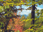 Private end of road location in Stowe Hollow
