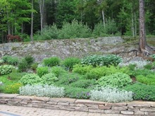weeks hill meadow bed2