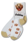 Golden Retreiver Head Sock