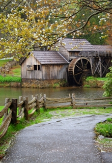 Old Mill Spring