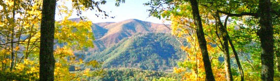 Home Image 1