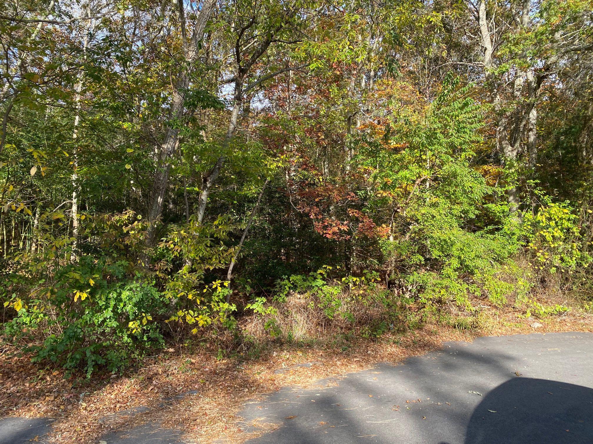 Mashpee Golf Course Homes