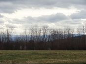 Williston VT 