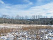 Greater Woodstock VT Area Land for Sale 100+ Acres