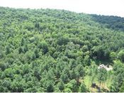 Pomfret VT Land for Sale