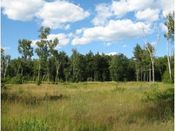 Reading VT Land for Sale