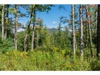 VT Real Estate By County