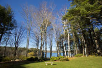 Listings for Freddy Friedman