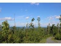 Listings for Julie Buffum