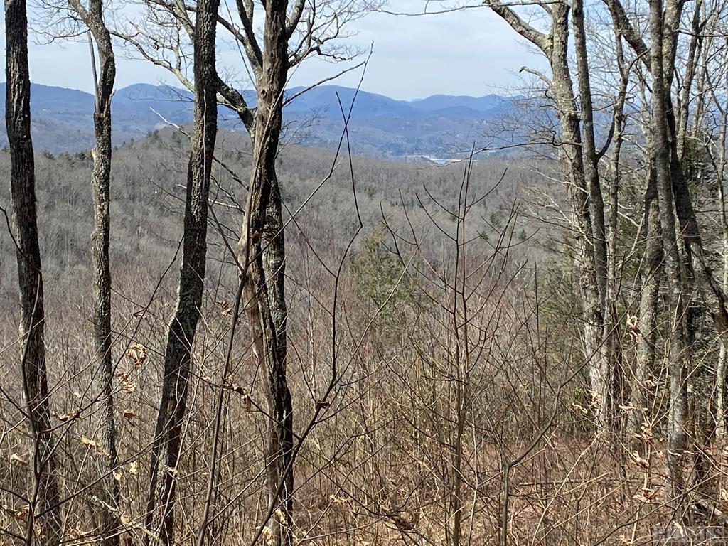 Pinnacle Ridge Cashiers NC Land for Sale Silver Creek Real Estate Group