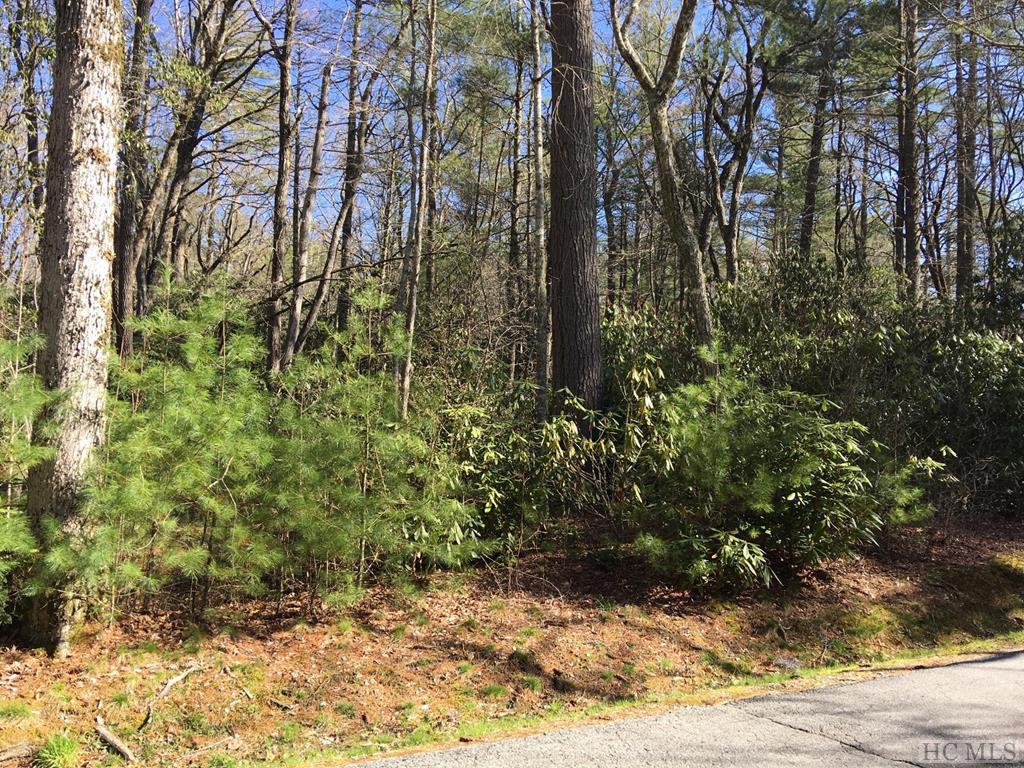 High Hampton Cashiers NC Land for Sale Silver Creek Real Estate Group