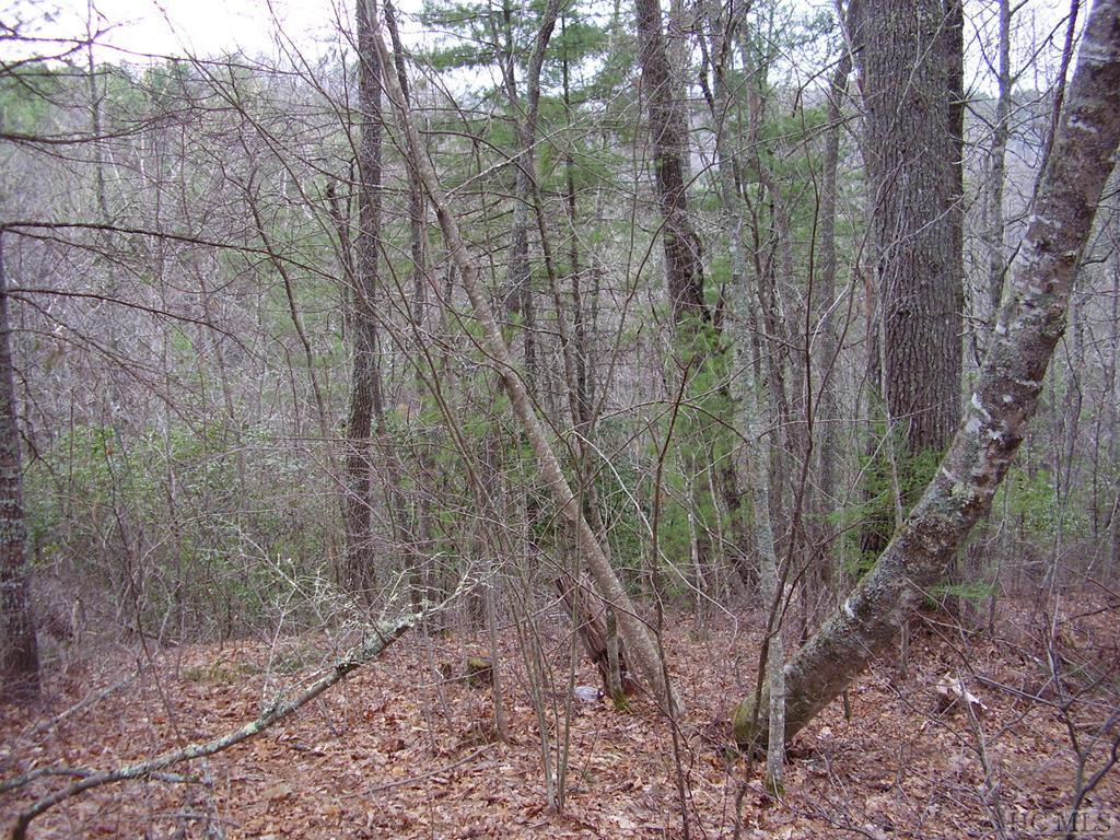 Tahala Shores Lake Glenville NC Land for Sale Silver Creek Real