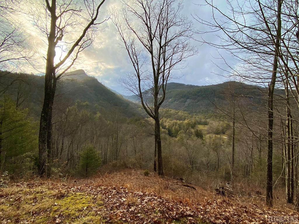 New Listings Sapphire NC Land for Sale Silver Creek Real Estate Group