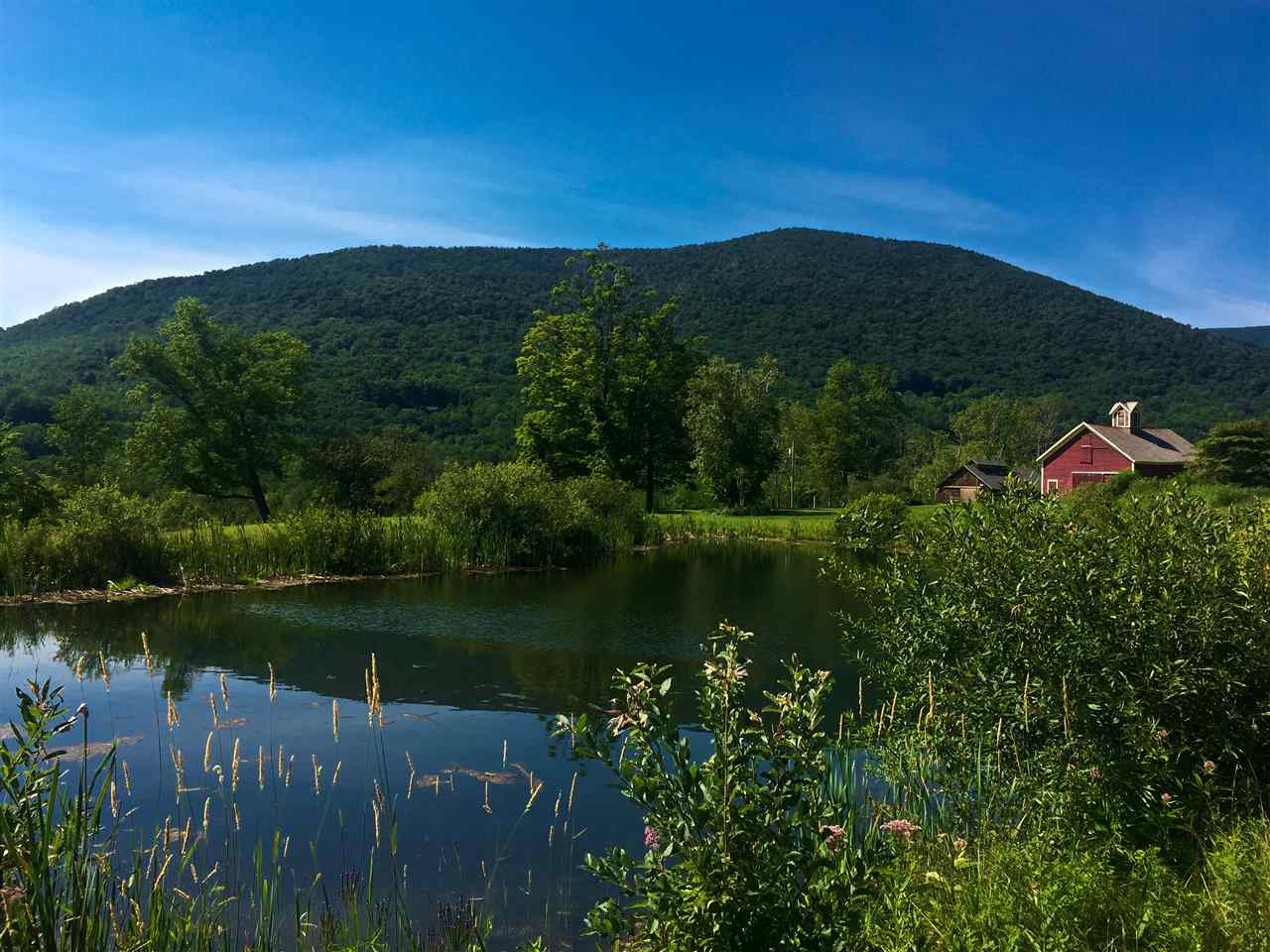 Land & Acreage for Sale in Southern VT Josiah Allen Real Estate