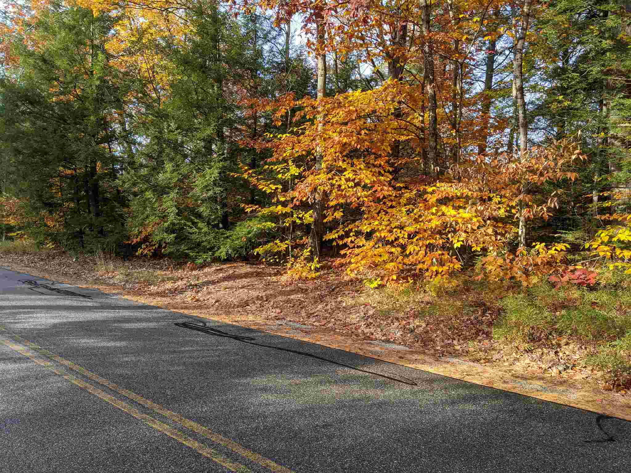 Listings for Parvaneh Anderson