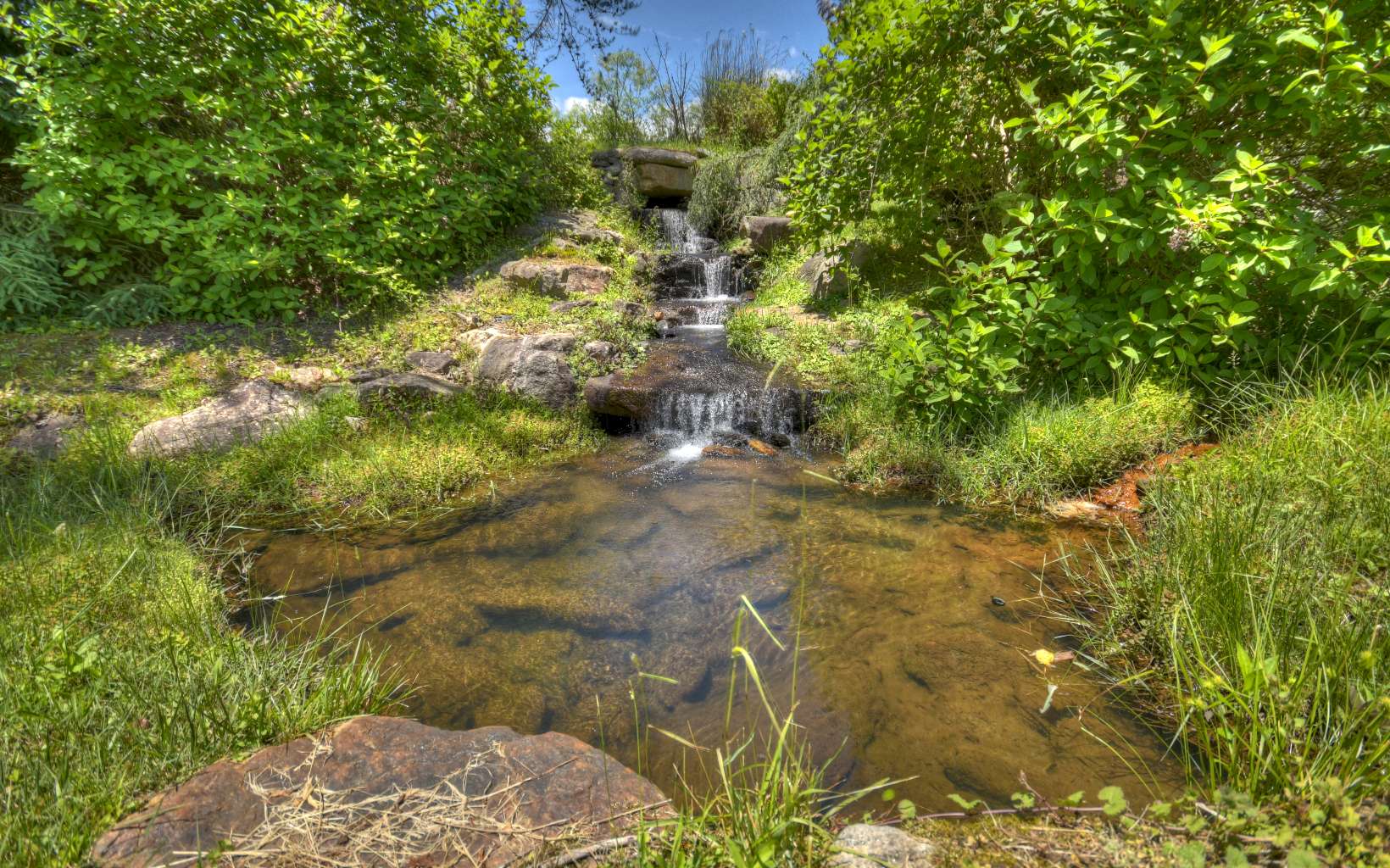 Blue Ridge GA Homes For Sale | The Mountain Life Real Estate Team
