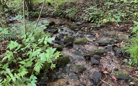 Blairsville GA