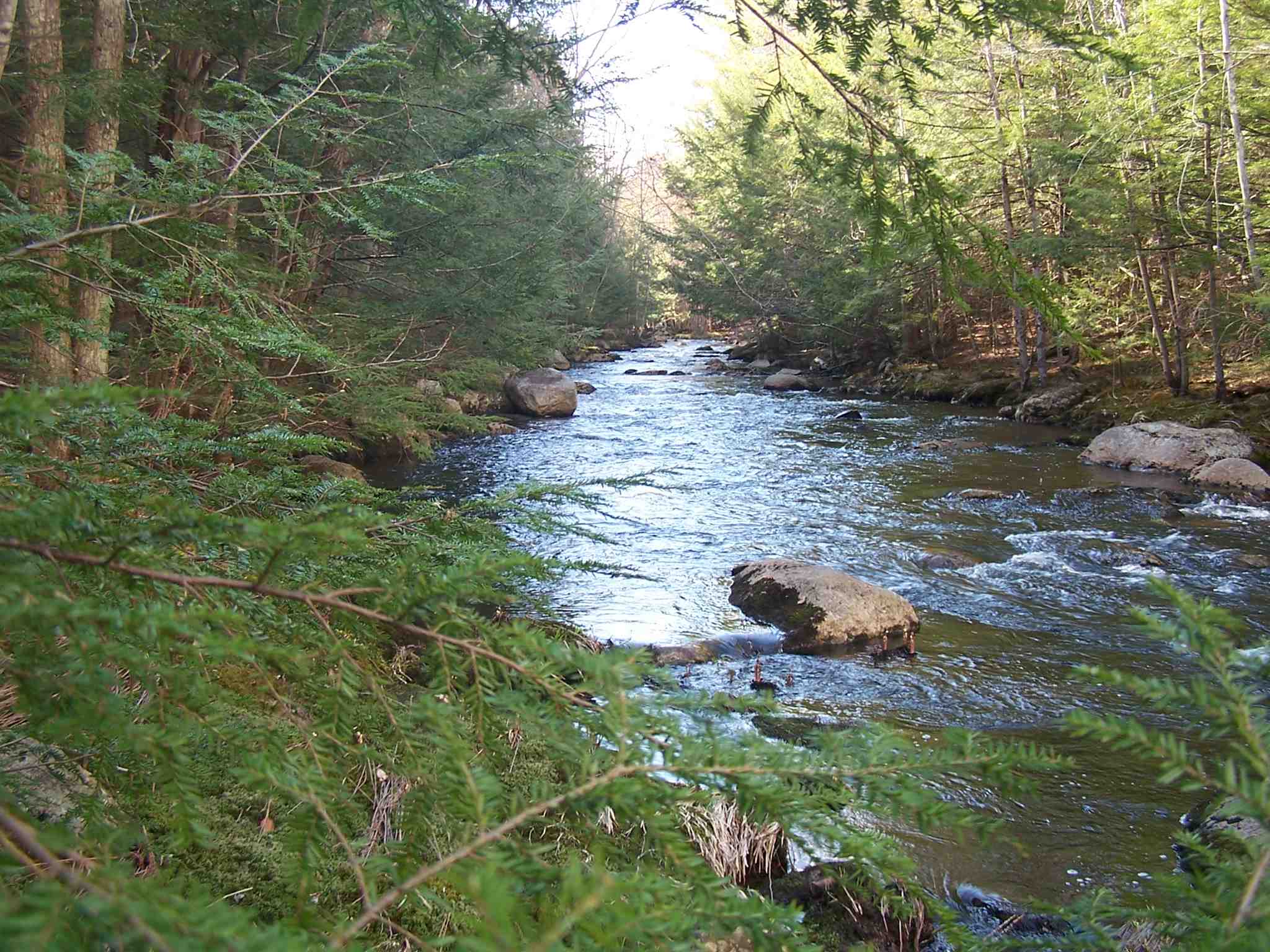 Land For Sale in Newbury, New Hampshire