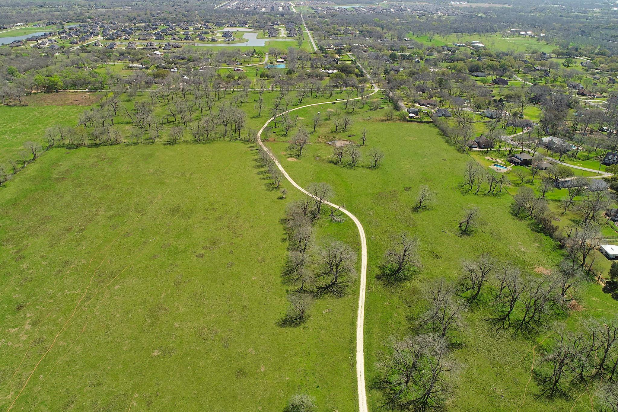 Oak Forest