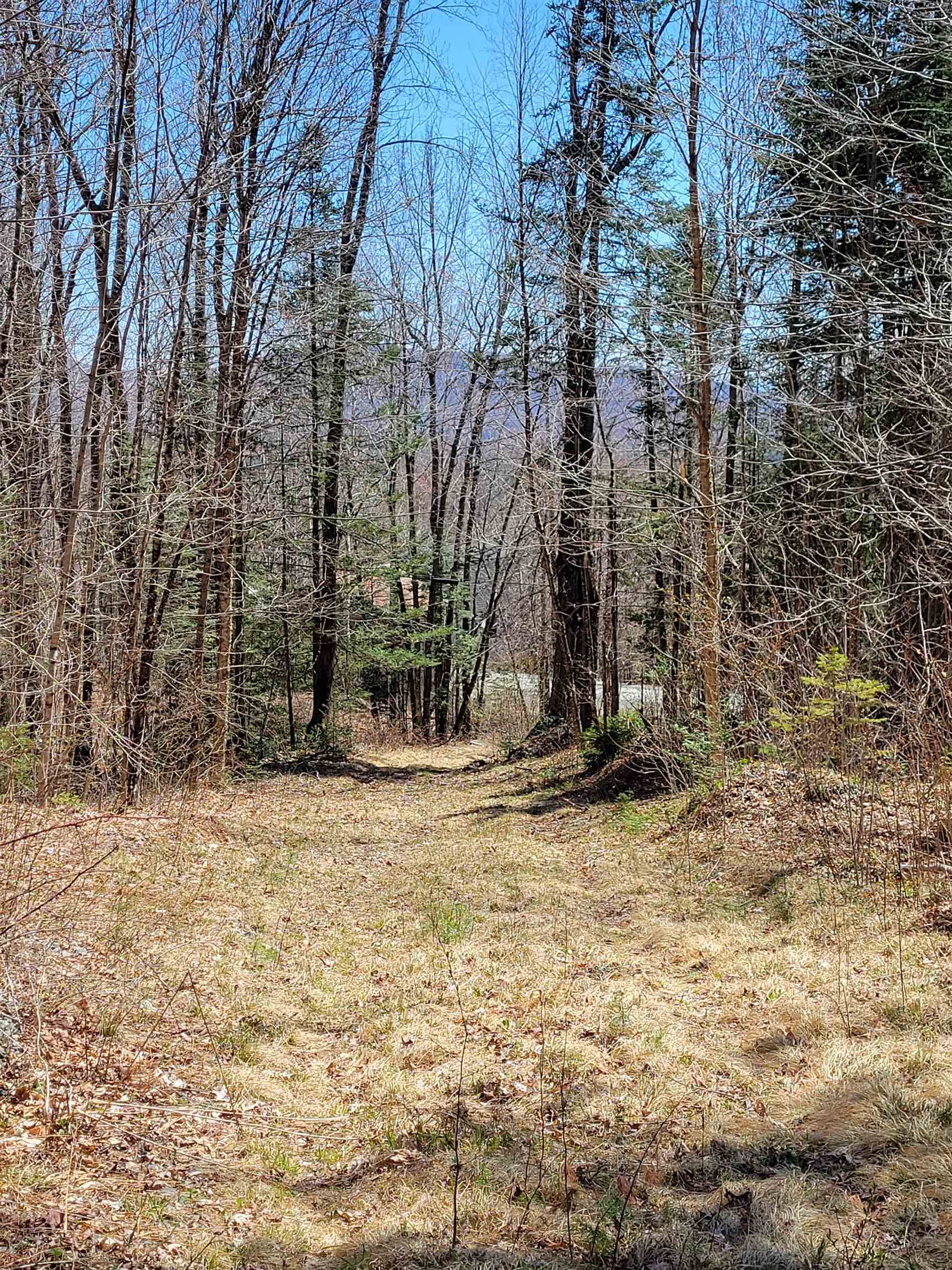 Victory VT Real Estate for Sale Century 21 Farm & Forest