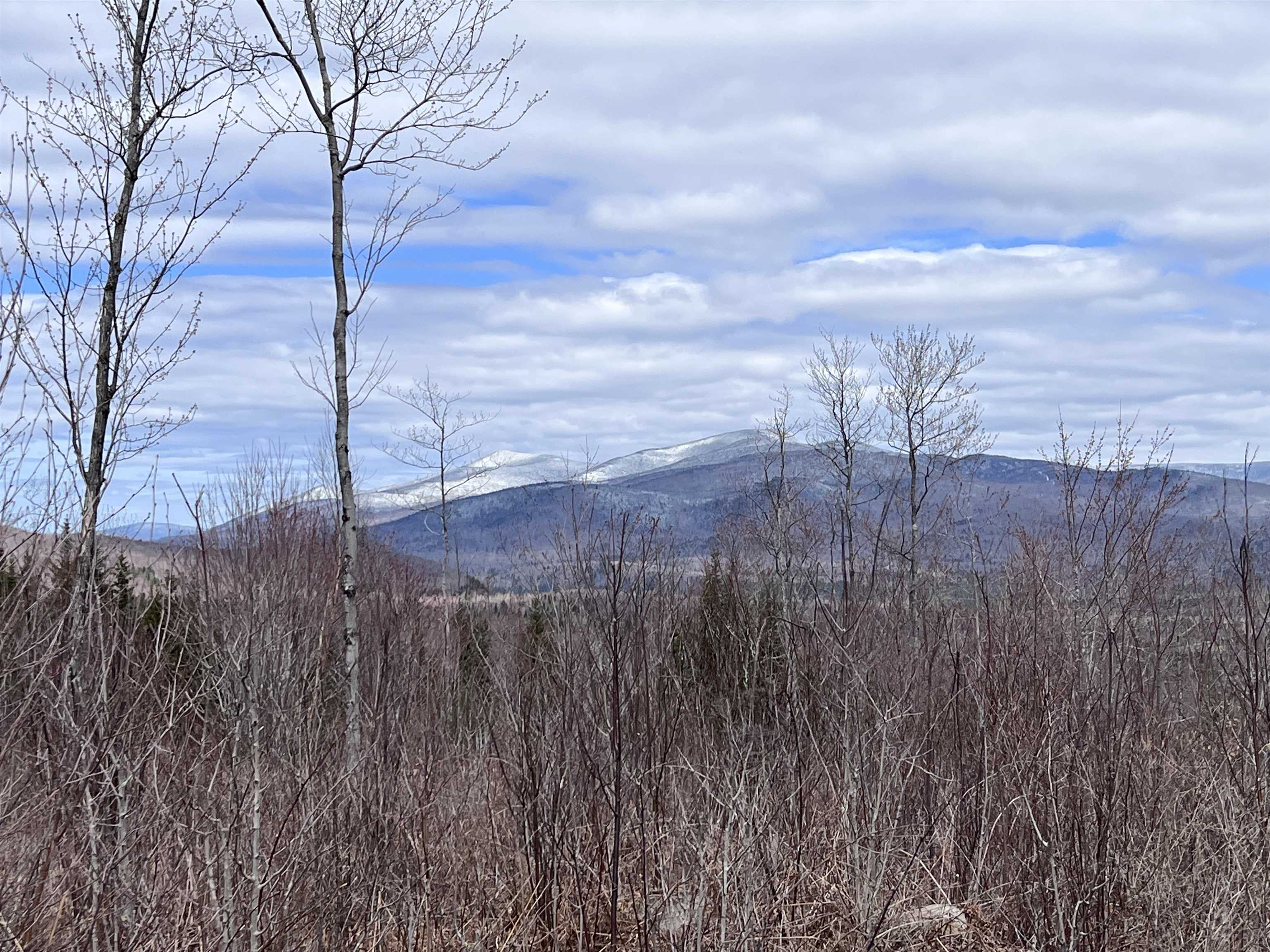 Maidstone VT Real Estate CENTURY 21 Farm & Forest